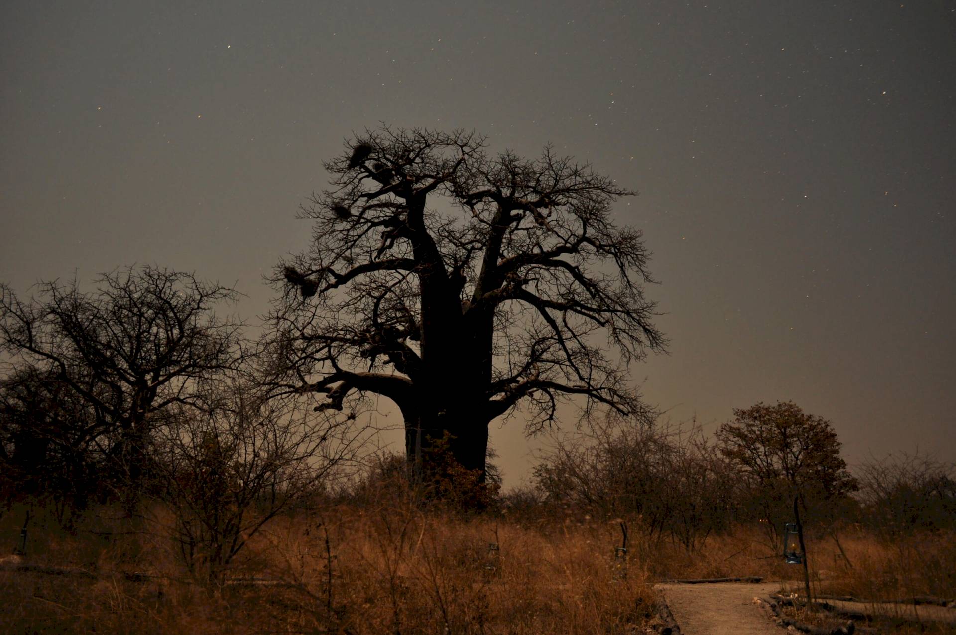 Makgadikgadi Pans Nationalpark