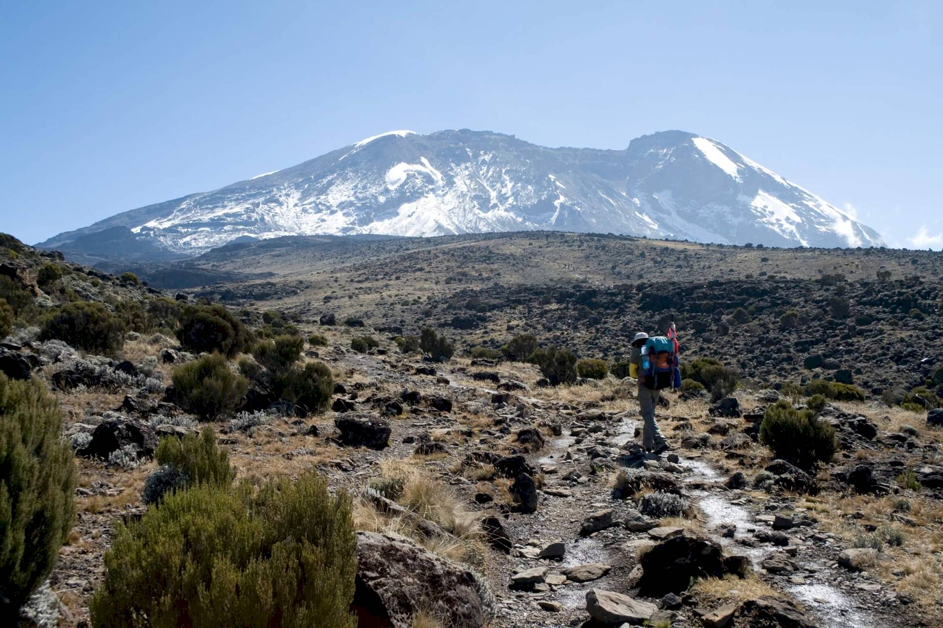 Kilimanjaro-Machame