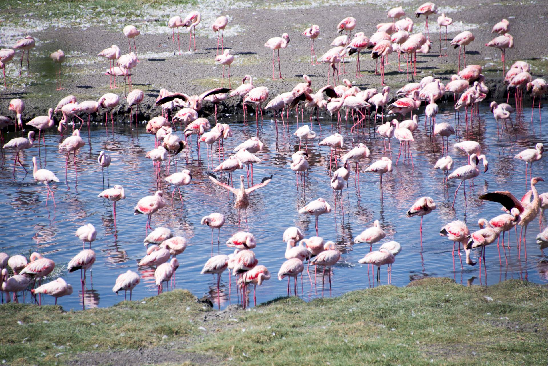 Arusha-Nationalpark