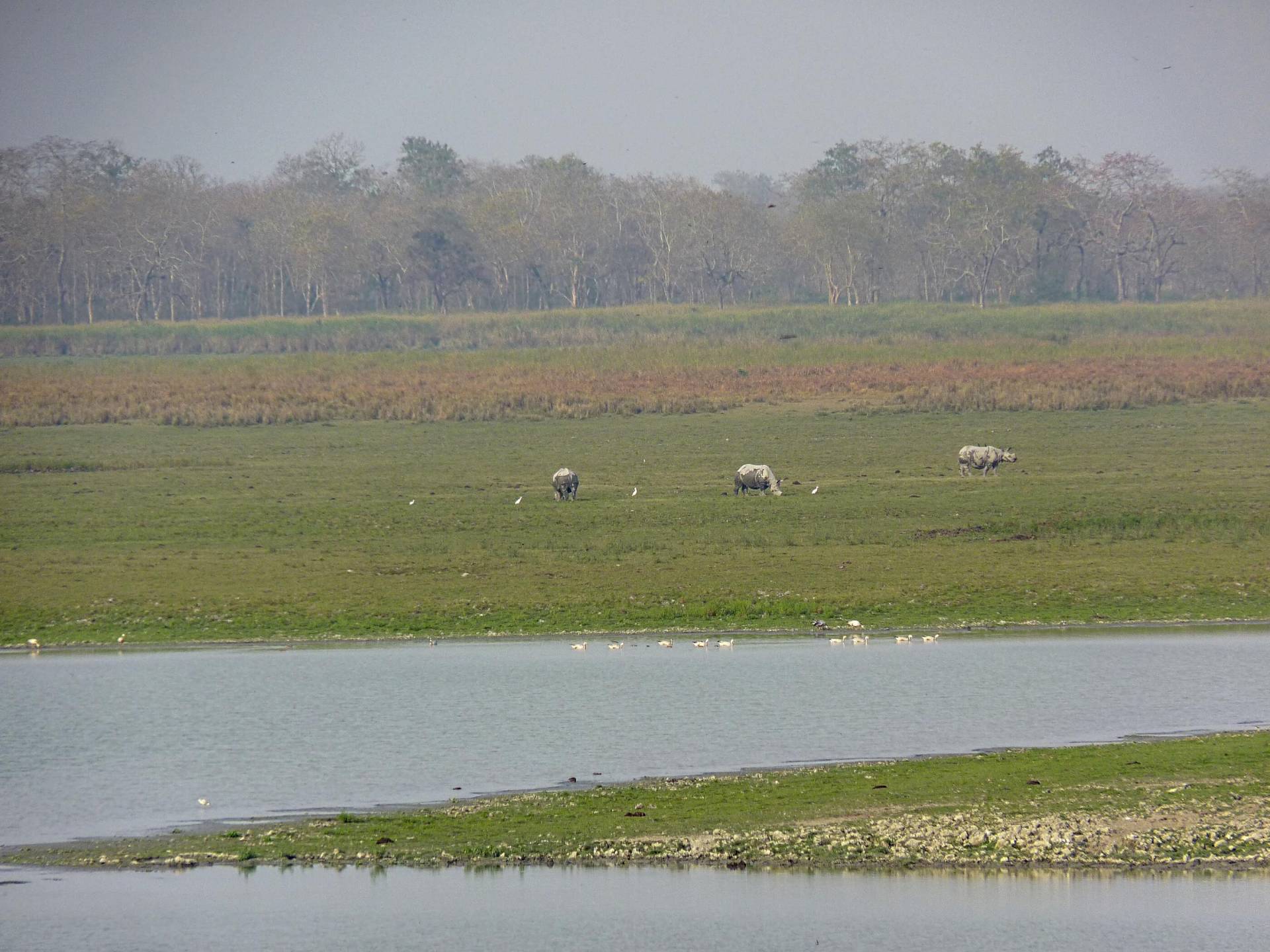 Kaziranga-Nationalpark
