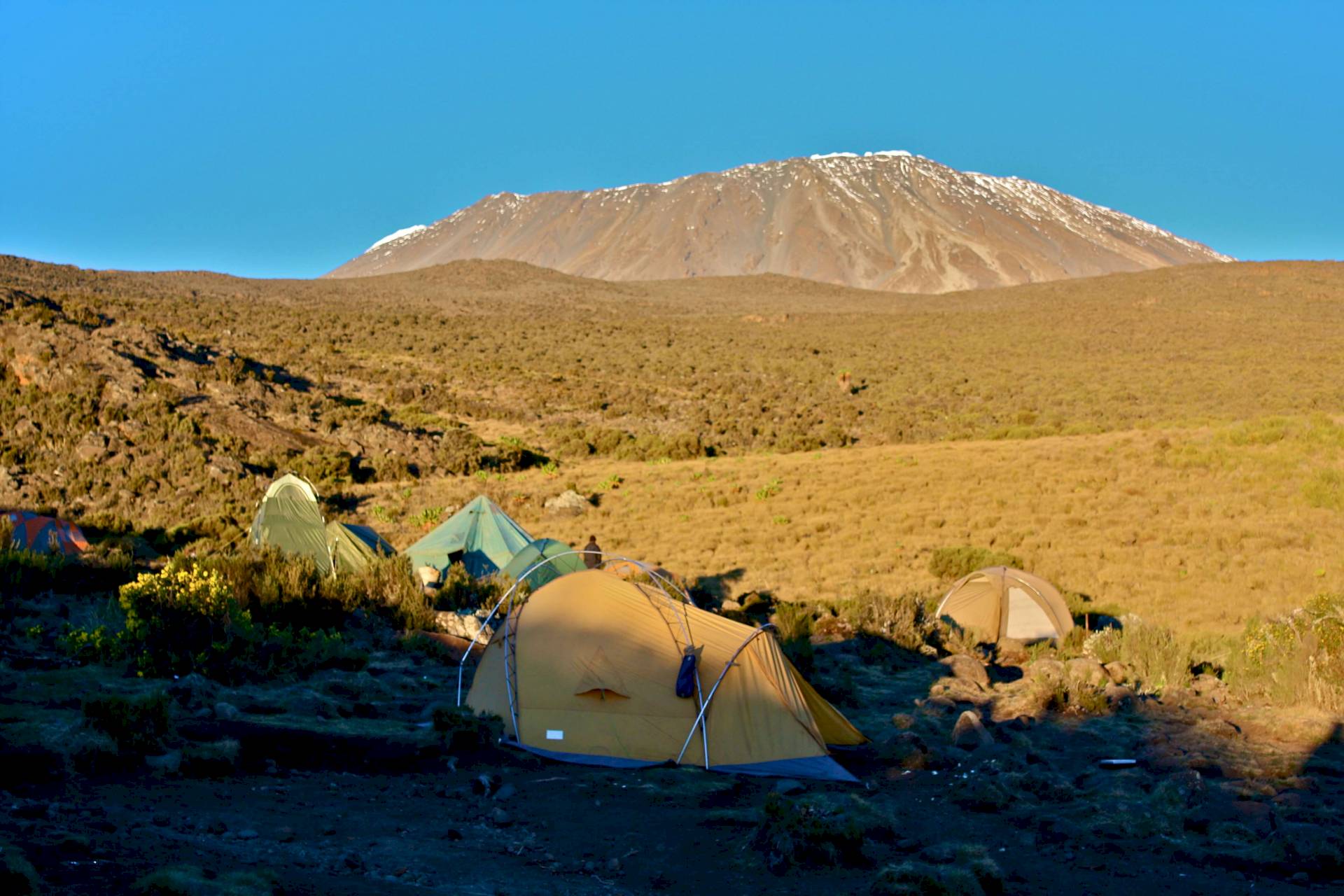 Kilimanjaro-Rongai