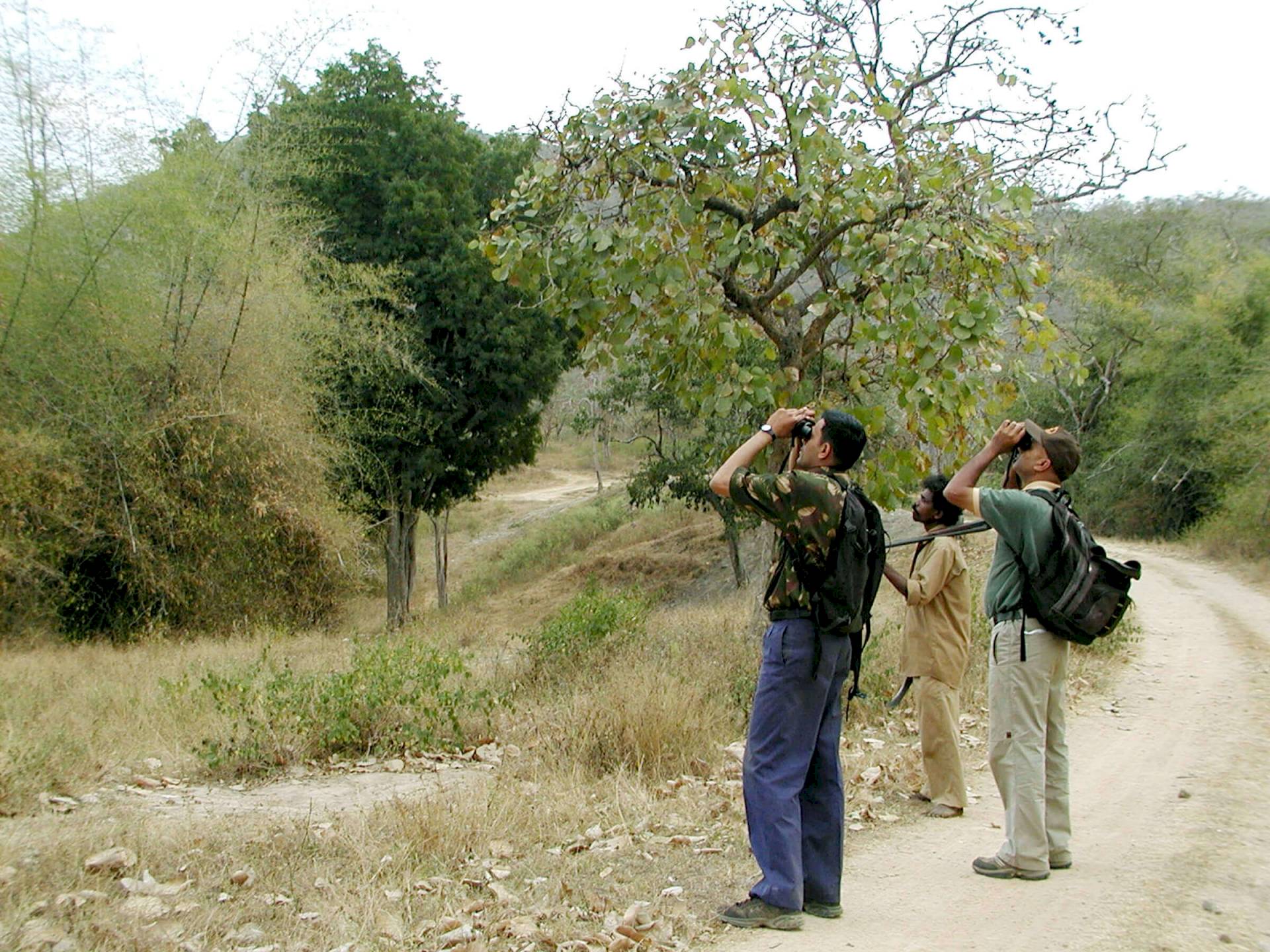 Bandipur-Nationalpark