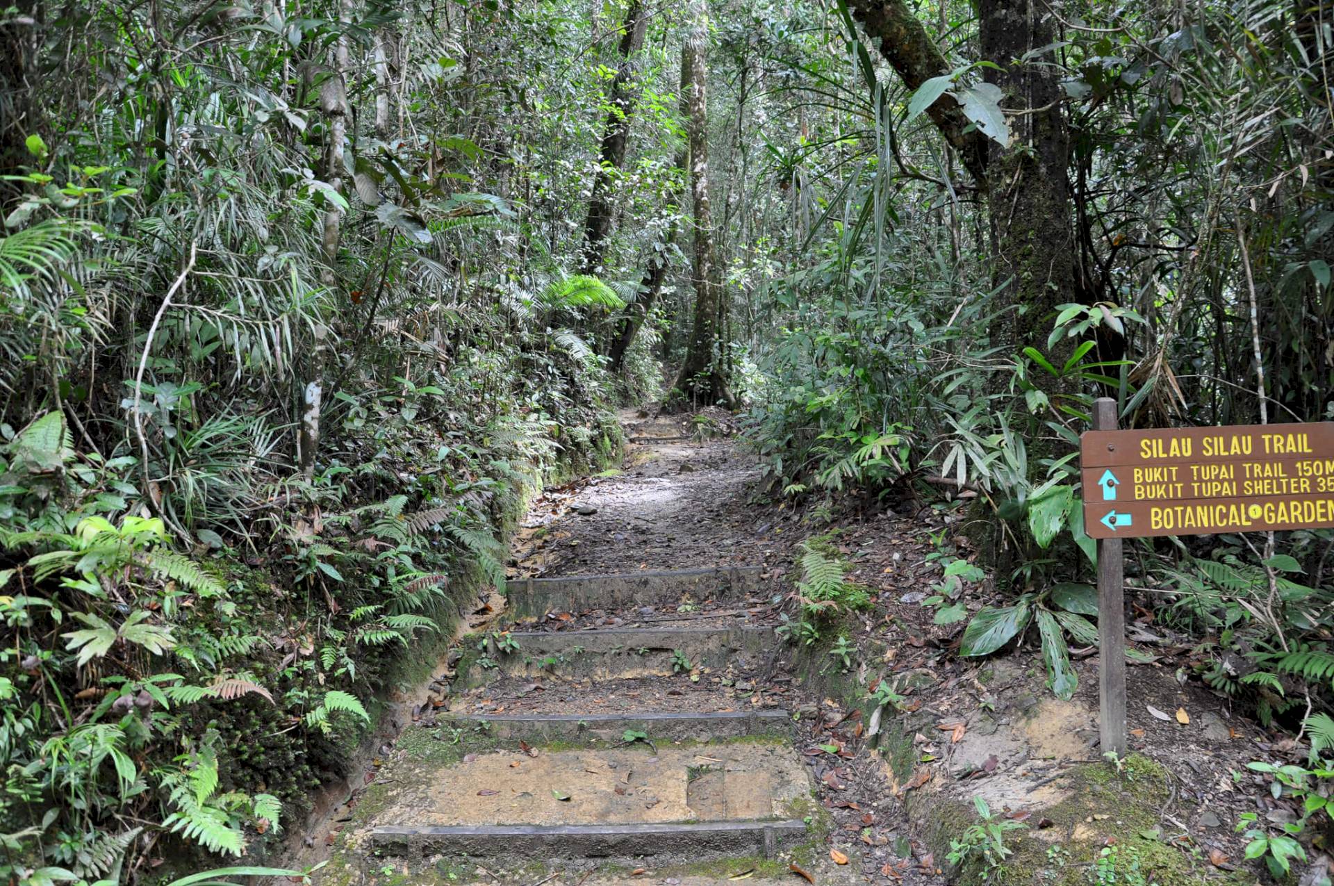 Kinabalu-Nationalpark