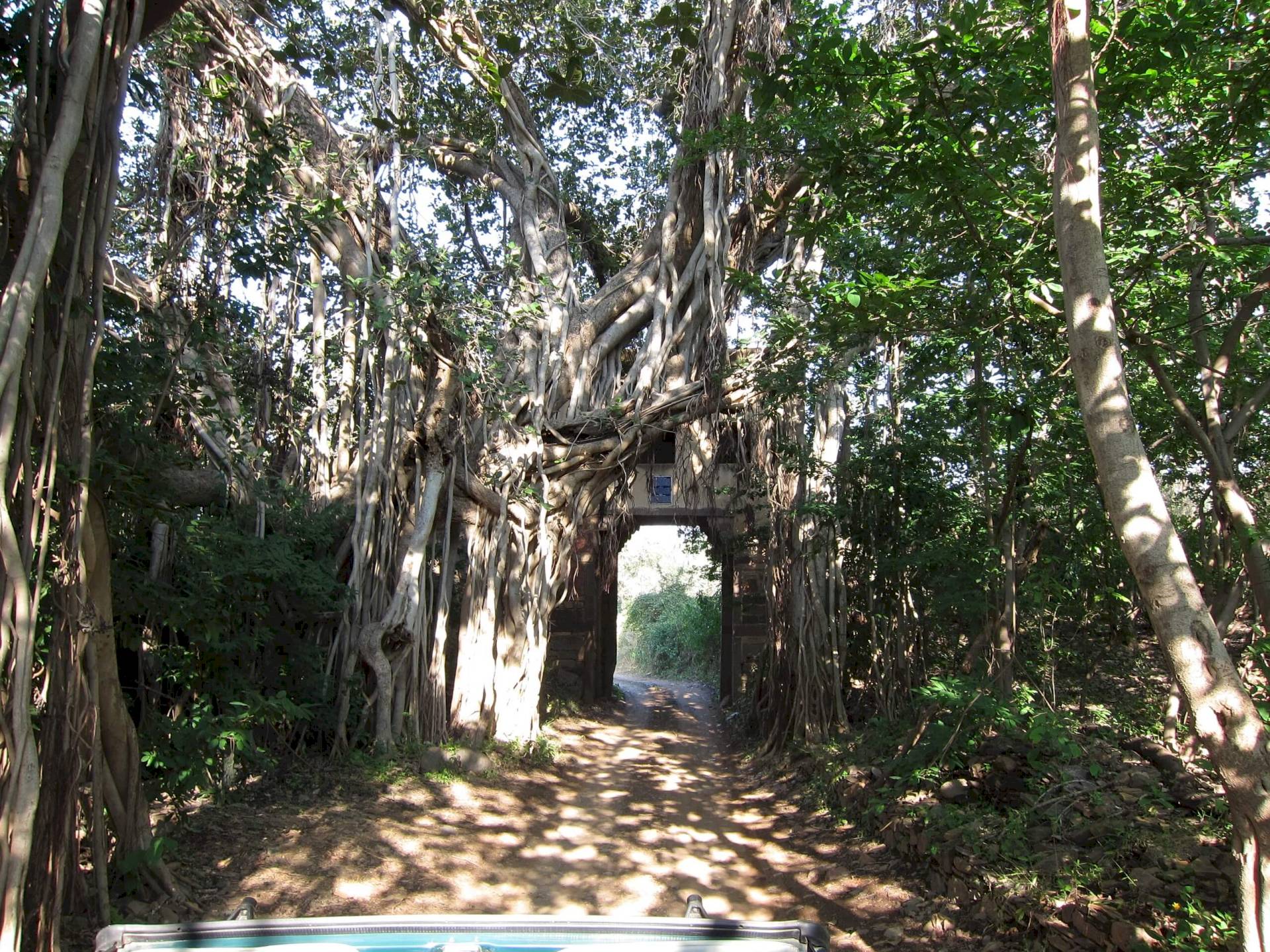 Ranthambore-National Park 