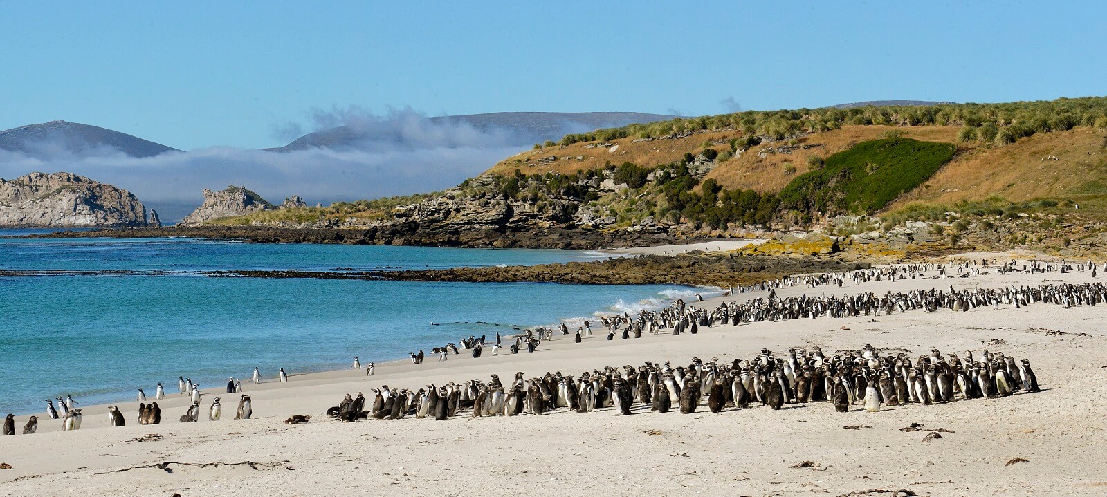 Falkland-Inseln