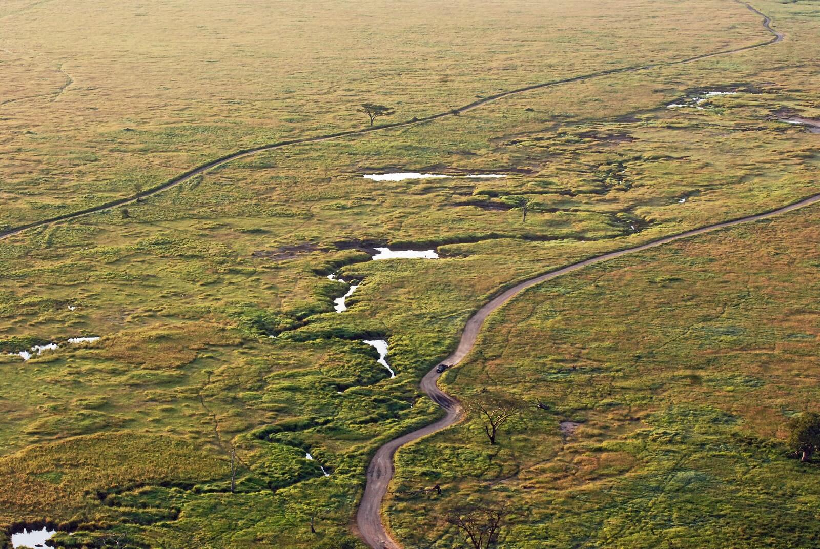 Serengeti-Seronera