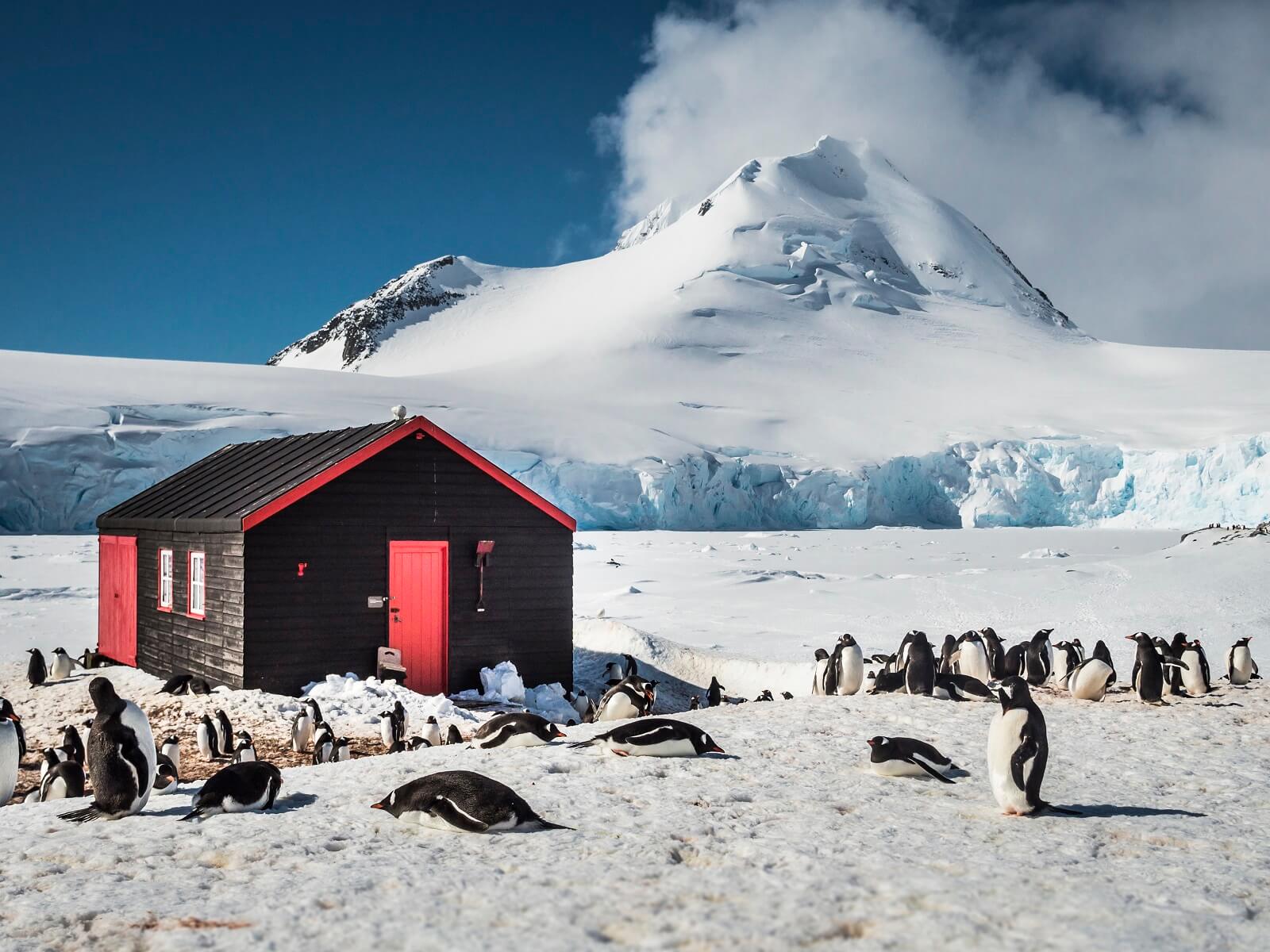 Antarktische-Halbinsel