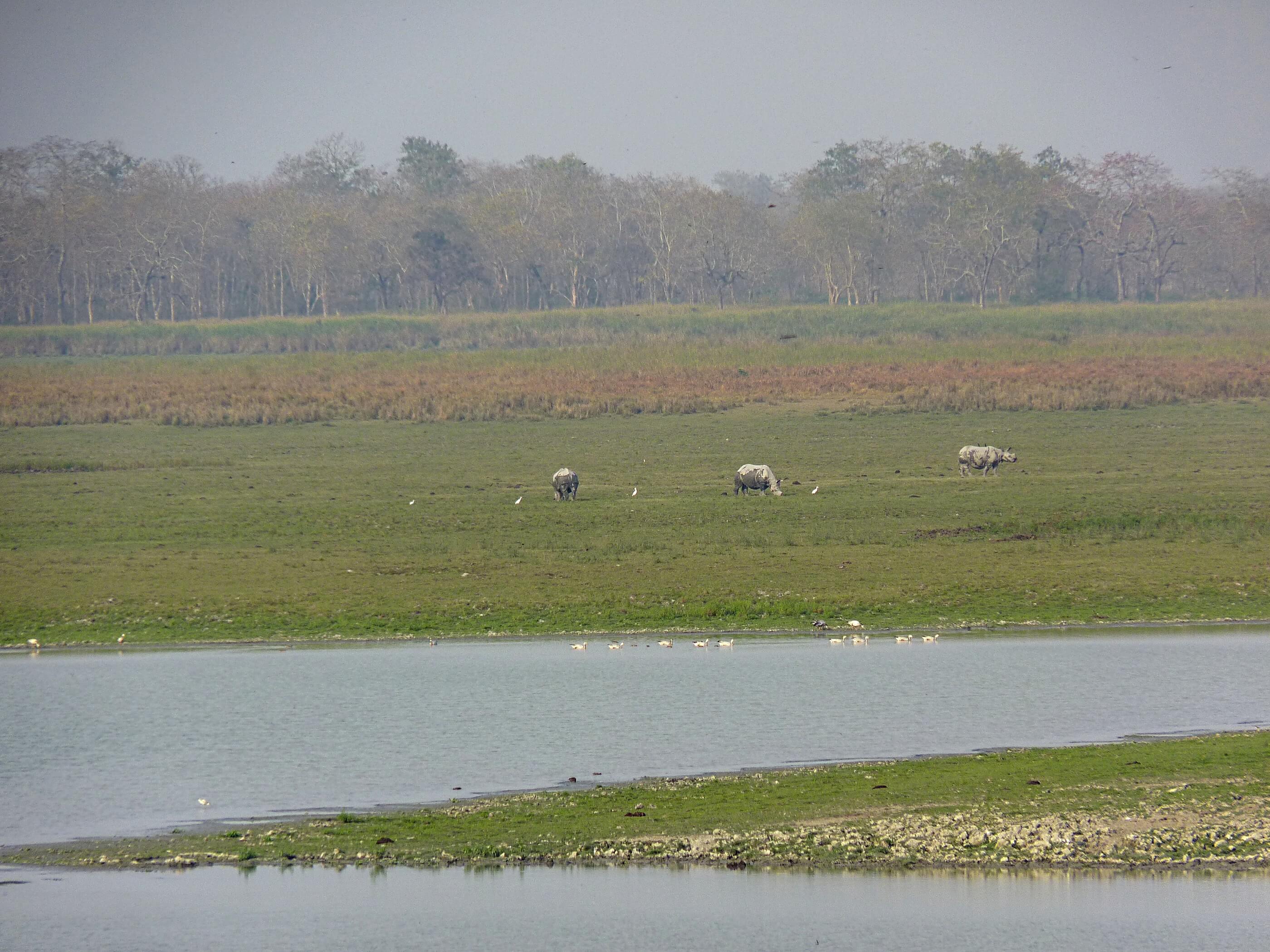 Manorama Lodge