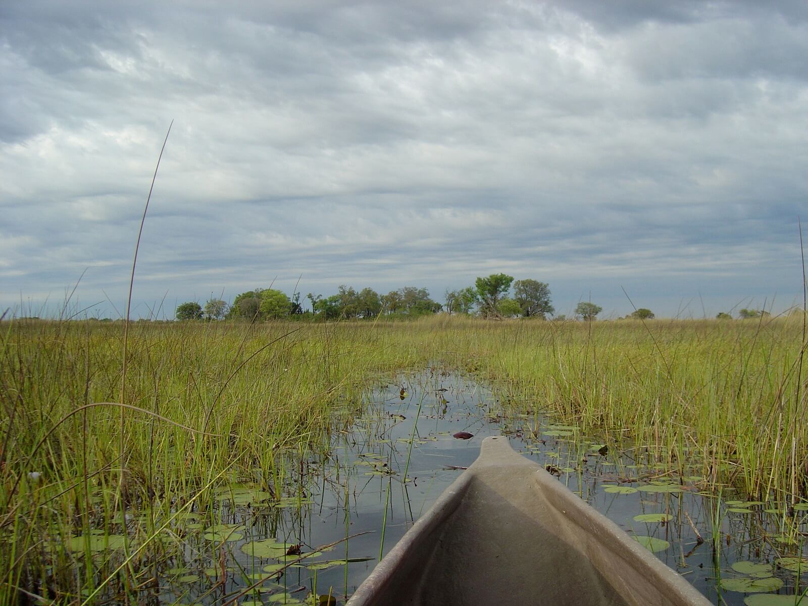 Okavango-Westen
