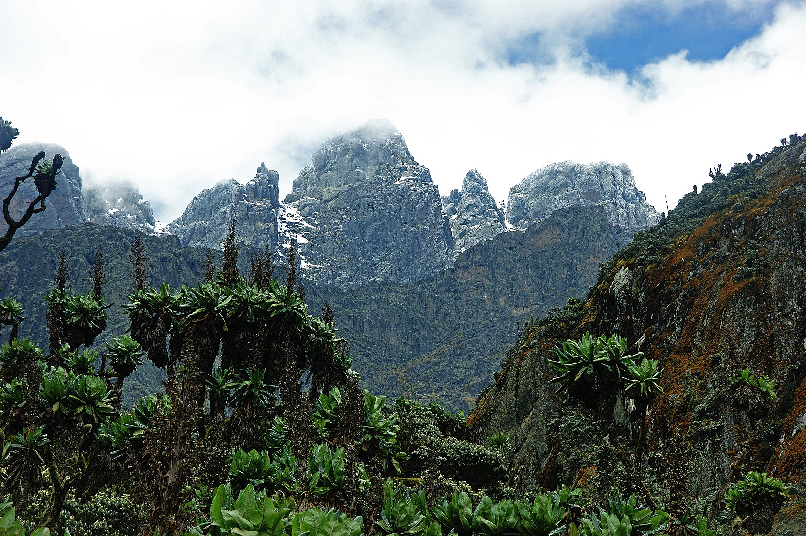 Ruwenzori-Mountains-Nationalpark