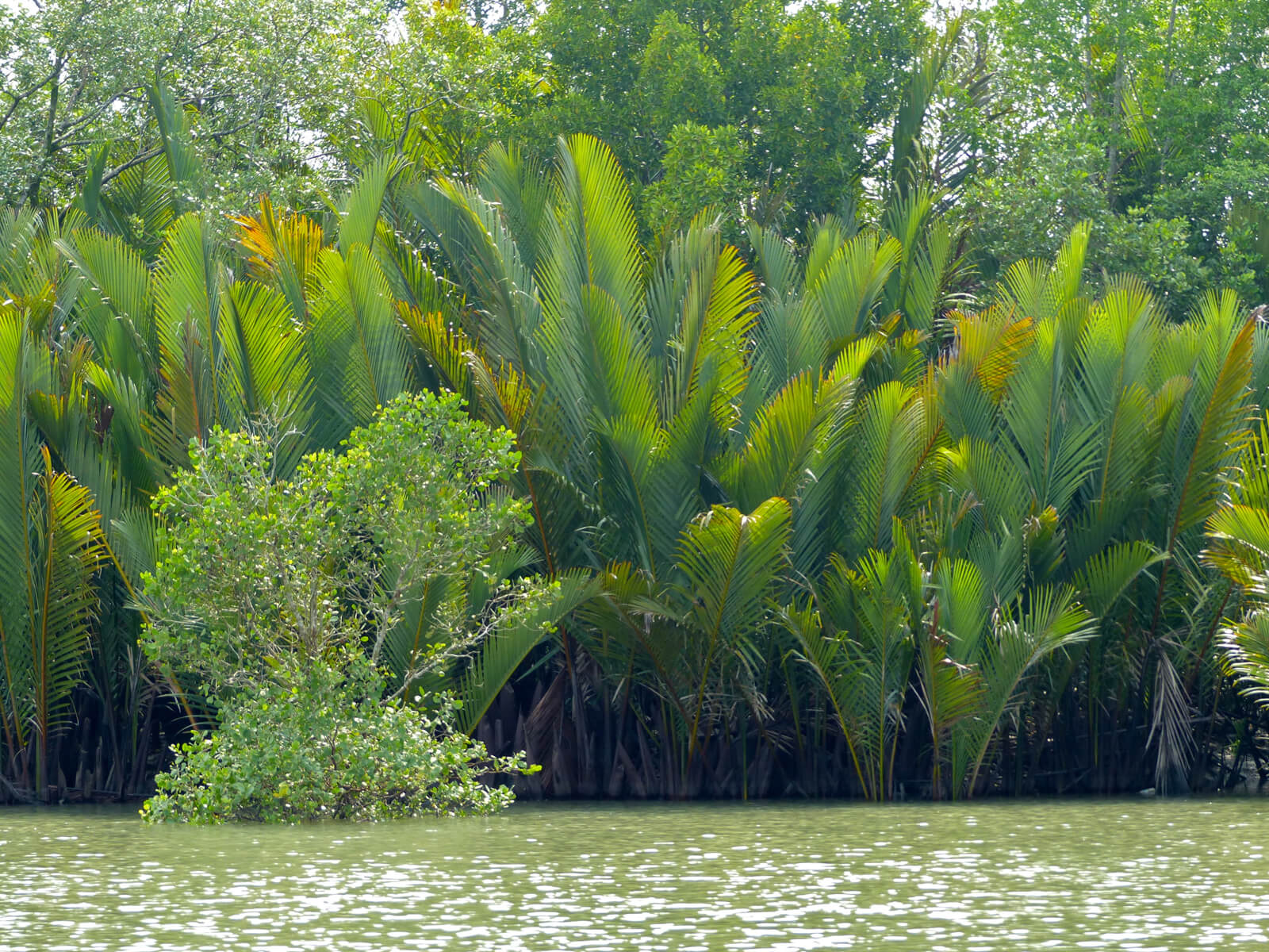 Kuching Wetlands-Nationalpark