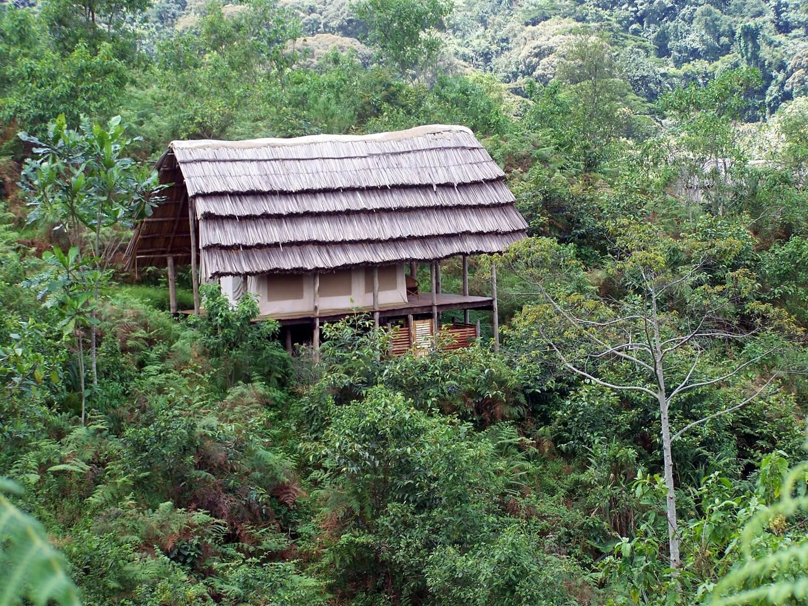 Cuckooland Lodge