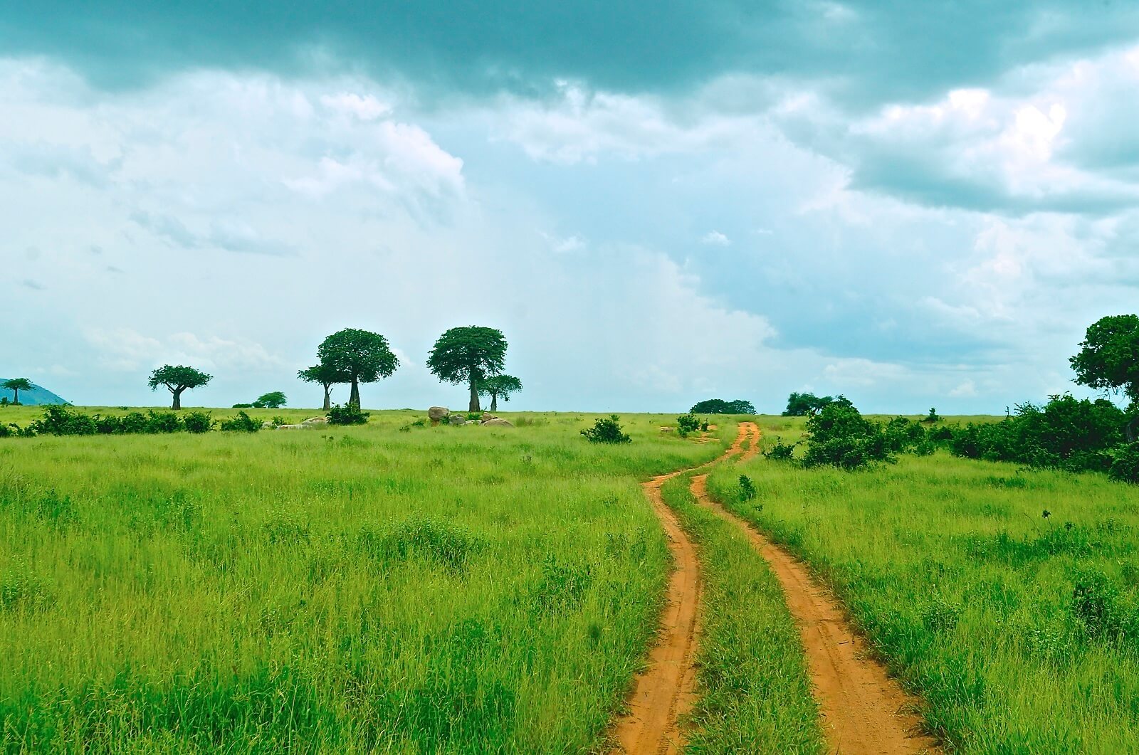 Serengeti-Ndutu