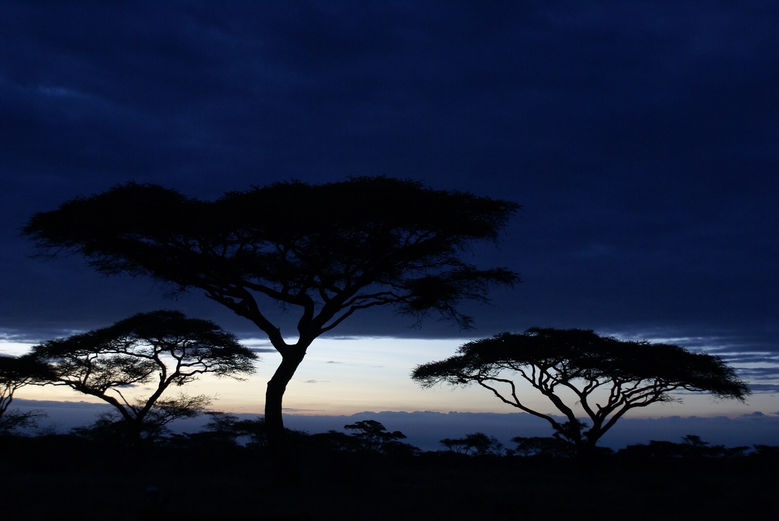 Ang’ata Serengeti Ndutu